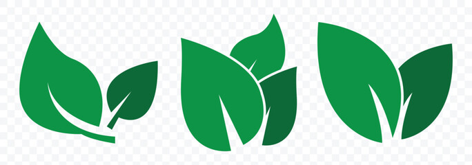 Leaf icons set ecology nature element. Green leafs icons collection. Elements design for natural, eco, bio, vegan labels. Vector illustration. 