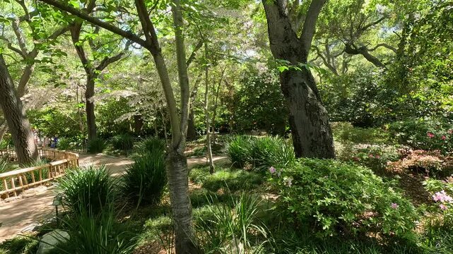 footage of an arched orange bridge over a river, lush green trees and flowers at Descanso Gardens La Ca&ntilde;ada Flintridge California USA