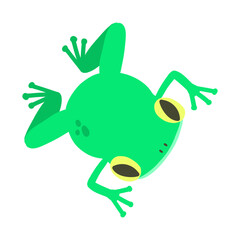 Cartoon Illustration of a Green Frog