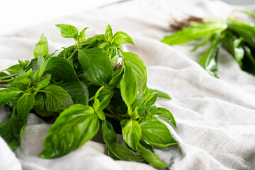 Basil on a linen tablecloth on the table. Copy space