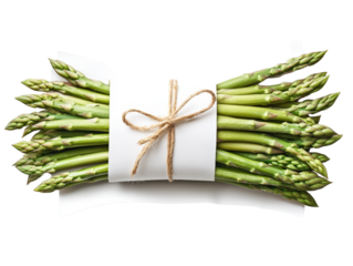 Fresh asparagus wrapped neatly in white paper creating an elegant presentation for culinary use and gourmet dishes isolated on a white background.