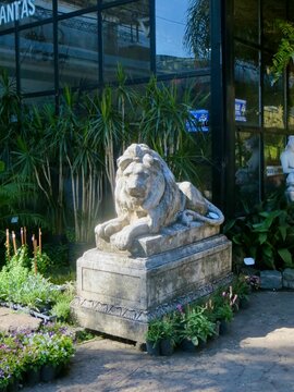 statue of a lion, Stone lion statue in garden center,  Estatua de le&oacute;n de piedra en vivero