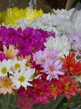 bouquet of flowers, Colorful bouquet of fresh flowers &ndash; Ramo colorido de flores frescas