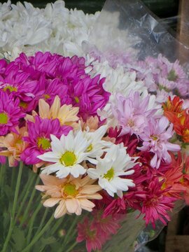 bouquet of flowers, Colorful bouquet of fresh flowers &ndash; Ramo colorido de flores frescas