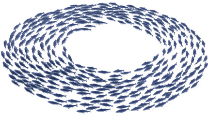 School Of Fish Swimming In A Circle Shape On A Transparent Background Illustration