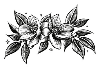 Fototapeta premium Elegant Floral Engraving of Magnolia Flowers with Leaves and Stars