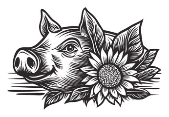 Obraz premium Engraved Pig Illustration with Sunflower and Leaves Design