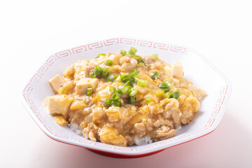 鶏ひき肉と豆腐のあんかけ丼