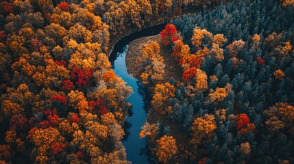 A mesmerizing aerial view of a dense autumn forest, trees in shades of red, orange, and yellow, winding river cutting through the landscape