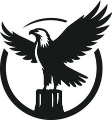 Eagle silhouette