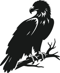 Eagle silhouette