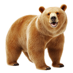 Fototapeta premium Majestic brown bear roaming freely in its natural habitat surrounded by lush green forest and scenic landscape isolated on a white background.