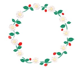 小菊の輪フレーム