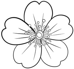 white flower on black background