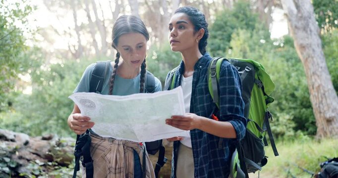 Hiking, happy and women with map in nature for direction, navigation and location in forest. Mountain, friends and people with paper for guide on adventure, journey and travel outdoors for health