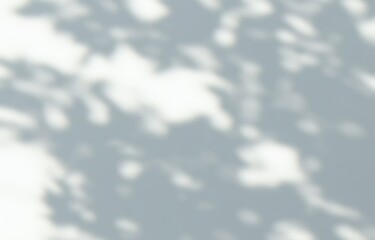 White gray sun shadow of leaves tree plant on white wall. Sunlight shining through window overlay effect shadows