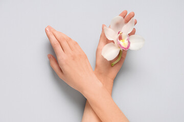 Beautiful female hands with orchid flower on grey background