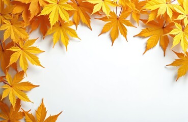 Yellow maple leaves create frame on white. Autumn season colors, gold, orange foliage. Autumnal decor, natural arrangement. Clean, bright, studio shot. Ideal for fall, seasonal projects, themes, copy
