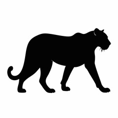 Obraz premium Elegant Black Panther Silhouette Walking Animal Illustration Vector Design Isolated