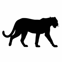 Obraz premium Black Jaguar Silhouette Walking Wildlife Feline Predator Animal Vector Illustration Design
