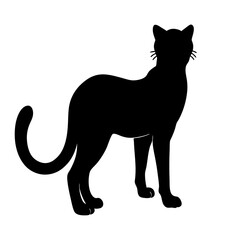 Obraz premium Elegant Silhouette Illustration Of A Black Cat Standing On White Background