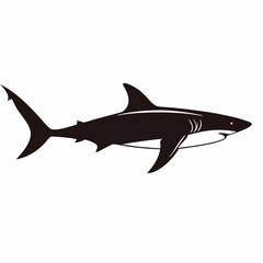 Naklejka premium Simple Vector Illustration Of Great White Shark Isolated On White Background