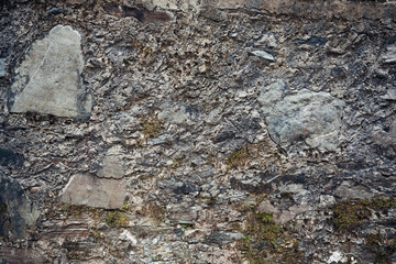 A rocky surface with moss growing on it
