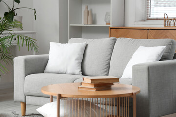 Interior of modern living room with sofa and stylish coffee table