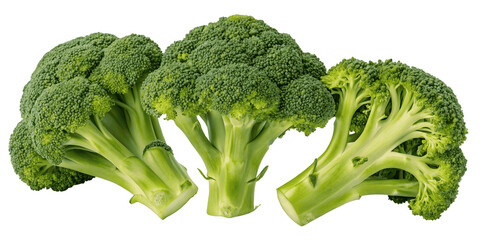broccoli isolated on white background