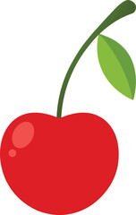 Vector cherry isolated on transparent background