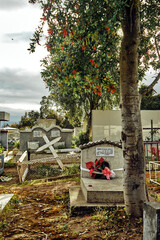 Photographs of cemeteries, graves, and crosses in rural areas of the Araucania region