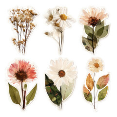 Pressed flower vintage stickers transparent art set botanical decor creative space aesthetic design