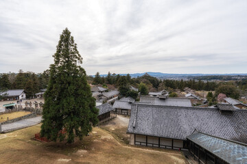 Nara Panoramic View