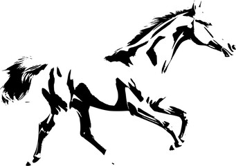 A timeless silhouette: The graceful form of a horse in black and white, embodying elegance and freedom.