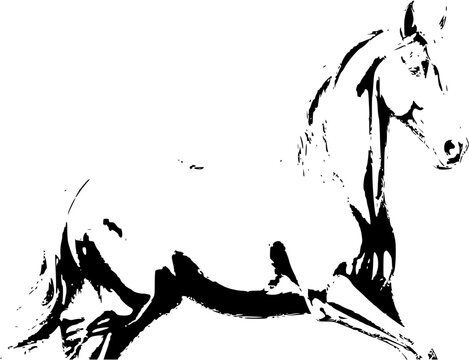 A timeless silhouette: The graceful form of a horse in black and white, embodying elegance and freedom.