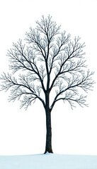 Obraz premium Isolated tree branches on a snow-covered white background, tree, nature