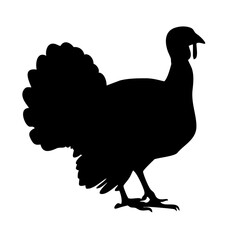 turkey silhouette
