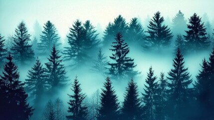 Fototapeta premium A serene winter scene of fog enveloping majestic pine forests.