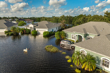 Naklejka premium Hurricane Debby tropical rainstorm flooded residential homes and cars in suburban community in Sarasota, Florida. Aftermath of natural disaster