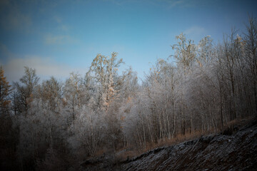 Rime in late autumn in Arxan, Inner Mongolia, China