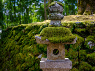 苔むす灯篭