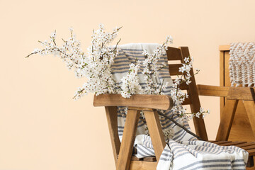 Blossoming branches in wooden chair near beige wall, closeup