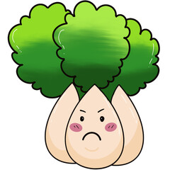 Chinese cabbage