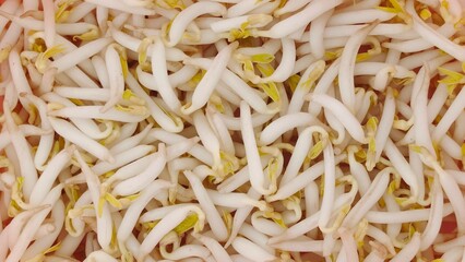 close up of a beans sprouts