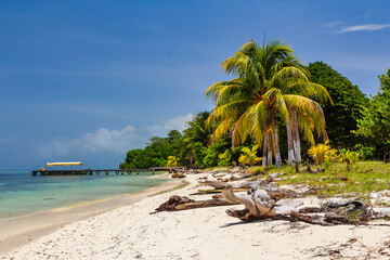 White sandy beach with palm trees and rustic wooden pier on a tropical island in Belize. Blue sky, turquoise ocean, peaceful summer scene.
