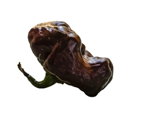 Isolated Chocolate Scotch Bonnet