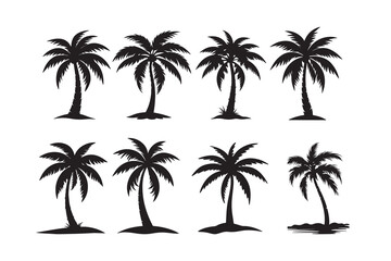  Silhouette of palm tree set vector illustration isolated on white background.
