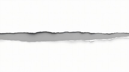 Ripped Paper Texture