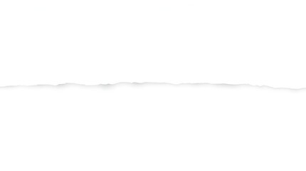 Ripped Paper Texture