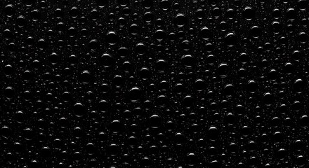 Fototapeta premium Black Velvet Dew AI Generated